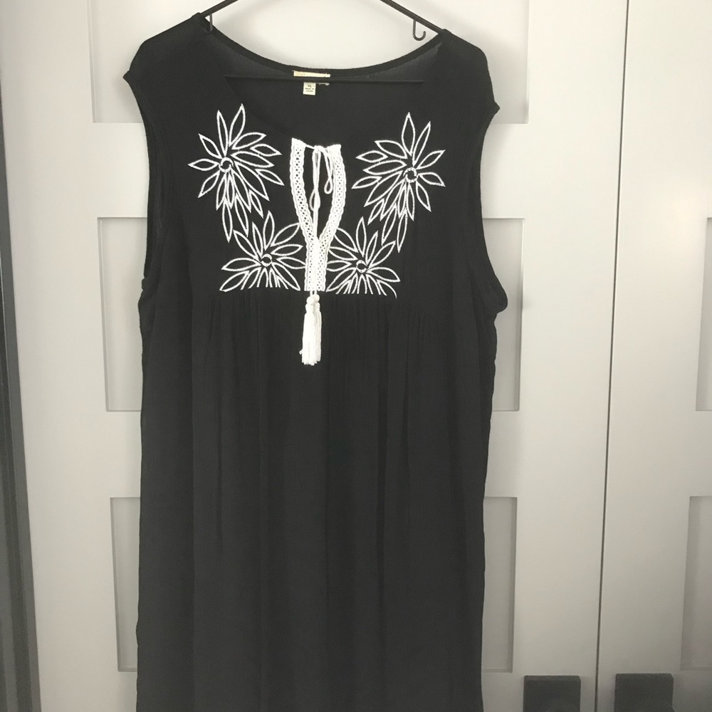 Sheer dress/cover-up. Like new, Size XL.